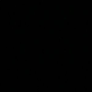 Meet your Posher, Gisel